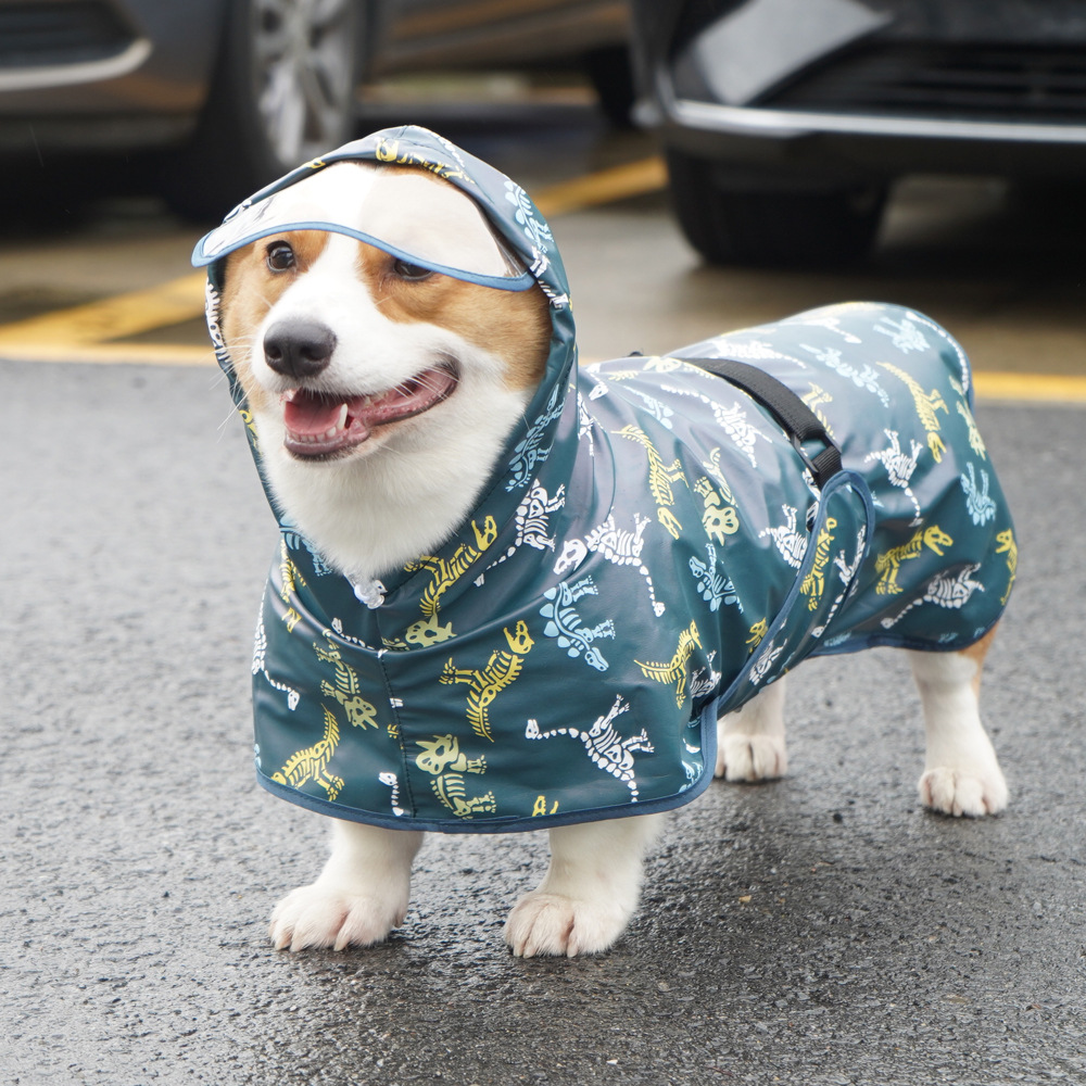 恐龙边牧柯基雨衣透明帽檐狗狗衣服金毛萨摩耶阿拉斯 加亚马逊